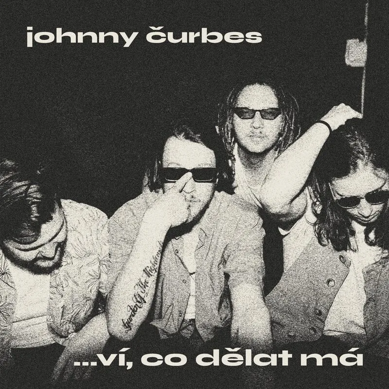 ví, co dělat má — album cover